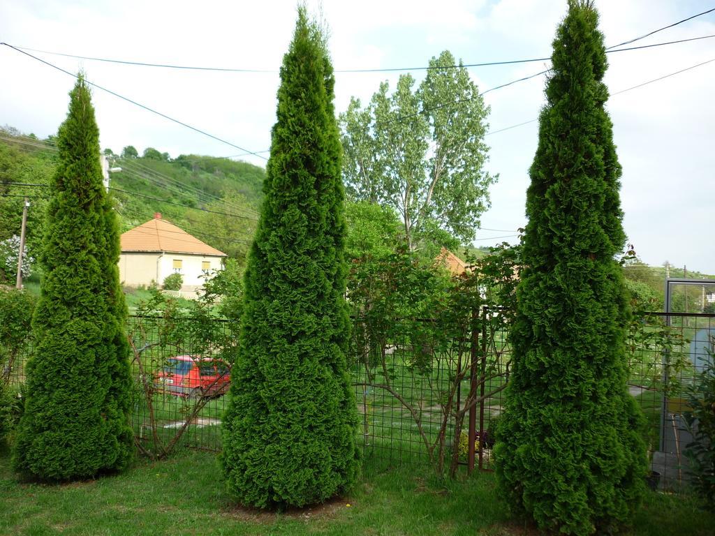 Buekk Vendeghaz Hotel Noszvaj Bagian luar foto